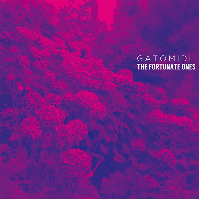 Gatomidi The Fortunate Ones