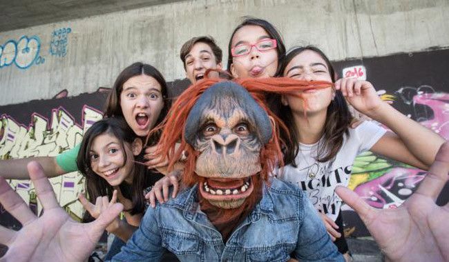 Furious Monkey House