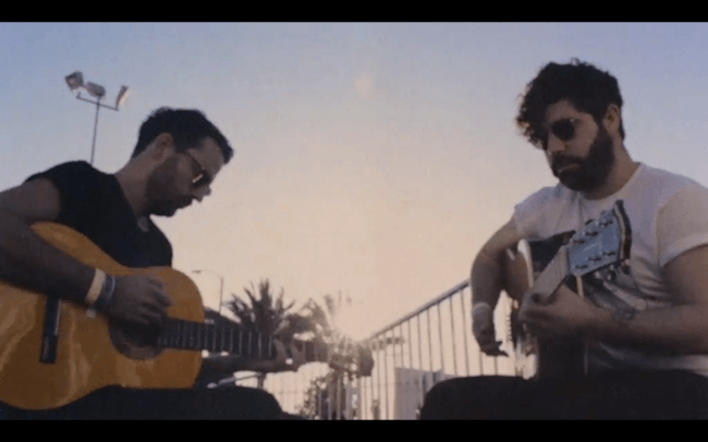 foals