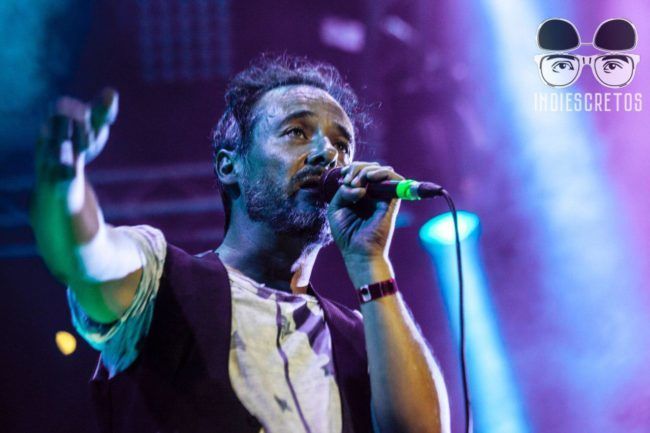 Love of Lesbian