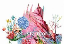 Vetusta morla – Mismo sitio, distinto lugar (crítica) Portada Mismo sitio, distinto lugar (vetusta morla)| Indiescretos Indie Español