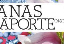 Nace «Titanas», proyecto musical que apuesta por la visibilización de la mujer en la industria del directo titanas